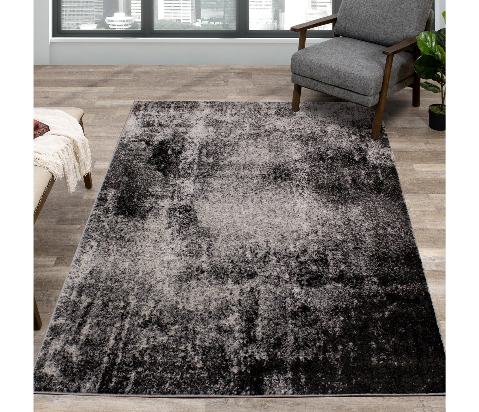 Focus - Area Rug - Grey