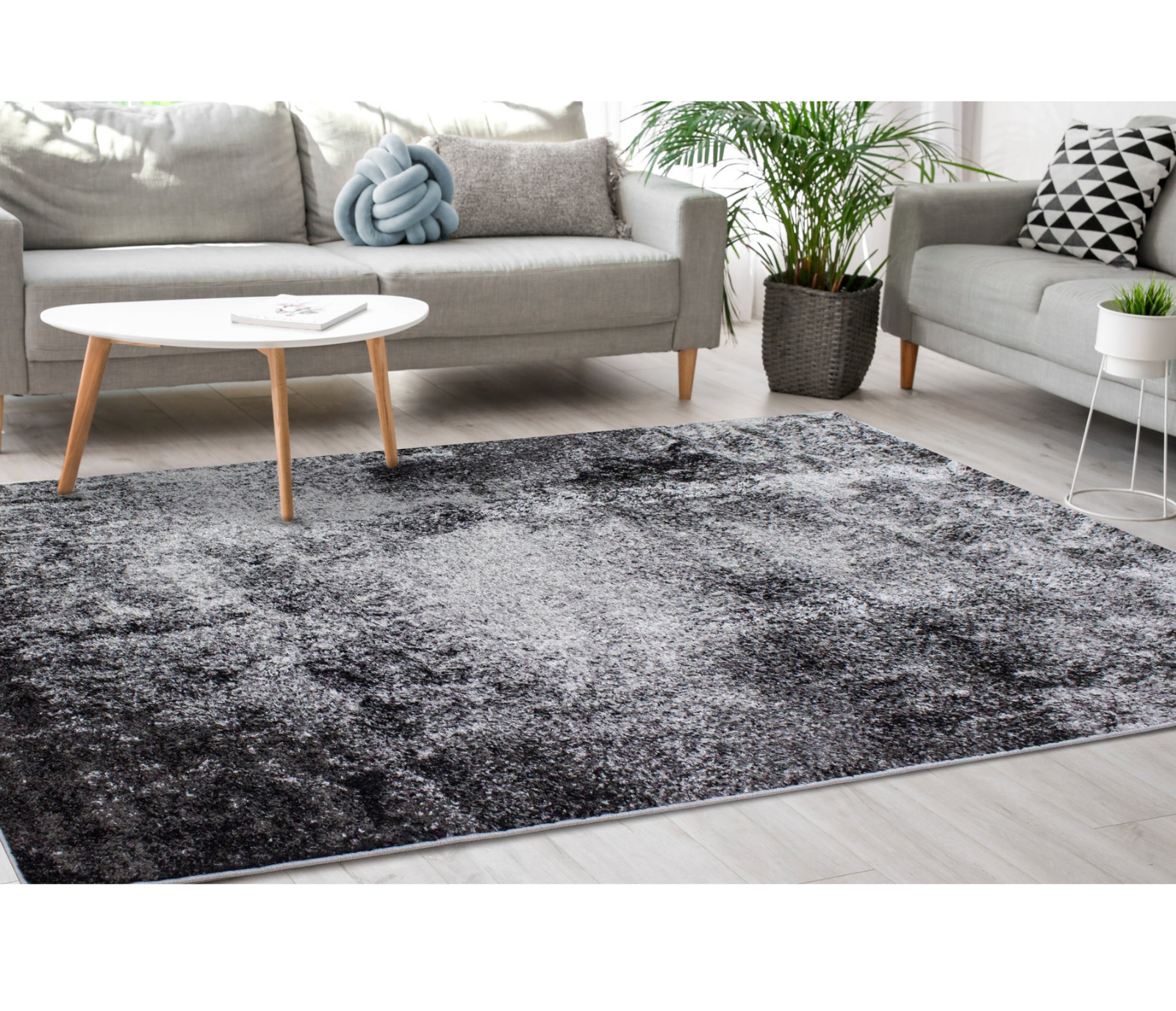 Focus - Area Rug - Grey